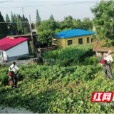 南县中鱼口镇：清基扫障 筑牢汛期安全防线