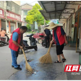 南县青树嘴镇：村（居）民代表动起来 人居环境“靓”起来