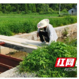 桃江县2022年度高标准农田建设项目通过县级初验
