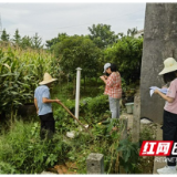 南县明山头镇组织青年志愿者开展农村户厕问题摸排工作