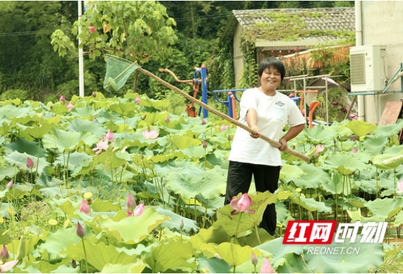 当个田间“新主播”，搭个农贸销售站｜村里的新七十二行⑤