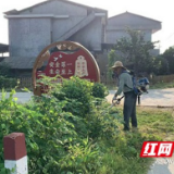 南县武圣宫镇：安全”“颜值”双提升 剪枝除草进行时