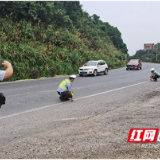 桃江交警：暑假即将结束 学生交通安全问题仍不容忽视