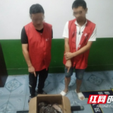 为解馋打斑鸠 桃江三男子被刑拘