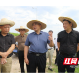 桃江：瞄准“三点” 推动“走找想促” 化解问题百余个
