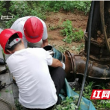 赫山区欧江岔镇：抢修电排保稻田