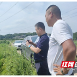 益阳高新：“非农化”“非粮化”整治 筑牢粮食安全根基