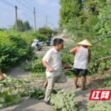 南县中鱼口镇：道路清障保安全