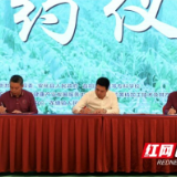 快讯丨2023年首届安化黄精丰收节现场签约项目5个