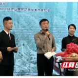 竞拍12000元！安化56.5斤重“黄精皇”现场拍卖