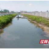 “扫黑”风暴来袭，赫山区努力守护“一汪碧水”