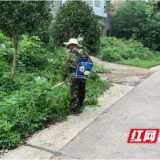 南县武圣宫镇：清理道路杂草 美化环境保安全