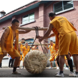 走进白沙溪万两茶踩制现场，体验非遗之美！