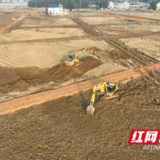 赫山区泉交河镇：全力推进高标准农田建设 夯实粮食安全根基