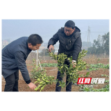 益阳职院：农技服务进站入村助力冬季管护