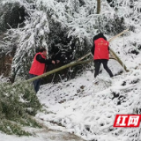 桃江县大栗港镇“三长”同心扫雪除障