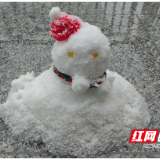 益阳第一批雪人已上岗！东北小编“锐评”雪人图鉴