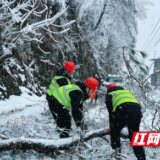 益阳铁塔全力保障暴雪天气通信畅通