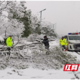 以“雪”为令 桃江全力以赴迎战强降雪