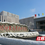 多图丨雪落成诗 画里益师 —— 来益阳师专赴一场冬的邀约