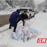 桃江县马迹塘镇：以雪为令！全力保障人民群众安全出行