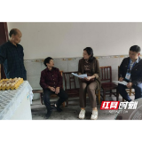 桃江县马迹塘镇：“三长”医保业务上门办  暖心服务心贴心