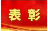 全国表彰！益阳4个集体和1名个人上榜