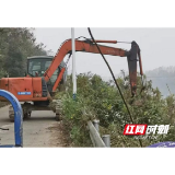 赫山区欧江岔镇：清除“一枝黄花” 筑牢生态屏障