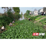 南县青树嘴镇：组建“清河”志愿队 守护水域生态环境