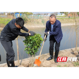 大通湖区：沟渠经济 美了乡村 富了村民