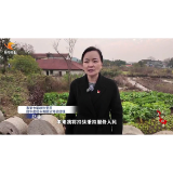 代表委员履职故事｜赵菲：倾情公益 奉献社会