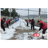 桃江县大栗港镇：志愿除雪保畅通 为民扫出安全路