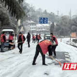 桃江县武潭镇：退役军人齐上阵 铲雪破冰保畅通