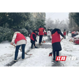 大通湖区民政人社局开展铲雪除冰行动