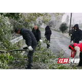 赫山区欧江岔镇：铲雪除冰保畅通 雪映初心党旗红