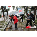 资阳税务：发挥党建引领 齐心协力除冰雪