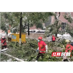 赫山区沧水铺镇：紧急驰援战冰雪 共克时艰保通畅