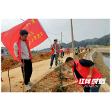 桃江县大栗港镇退役军人服务站开展植树志愿服务活动