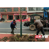 南县明山头镇开展植树节系列活动