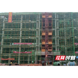 桃江：加快“徐特立项目”建设 争取7月底投入使用