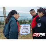 赫山区泉交河镇：禁种铲毒不止步 宣传踏查守净土