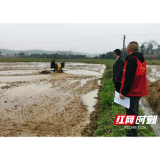 赫山区衡龙桥镇：“人大讲堂”搬到田间地头 助力春耕保生产