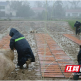 赫山区欧江岔镇：抢抓农时春耕忙