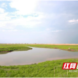 春暖花开时，快来大通湖区漉湖湿地踏青赏花吧！