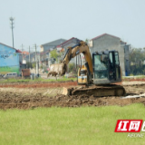 赫山衡龙桥镇：农田屋场齐改造 春耕备耕机械忙