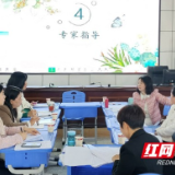 桃江县桂花园小学举行语文跨学科学习任务群教学现场研讨活动