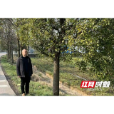 南县麻河口镇：强化护林职责 筑牢生态安全屏障