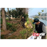 南县中鱼口镇：清理河道垃圾 助力环境整治