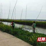 大通湖区开展清基扫障 筑牢汛期安全防线