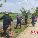 南县麻河口镇开展义务植树活动